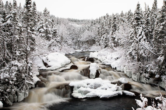 Bartlett's Brook