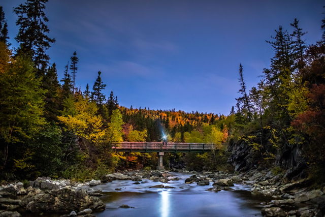 Autumn in the Corner Brook Gorge