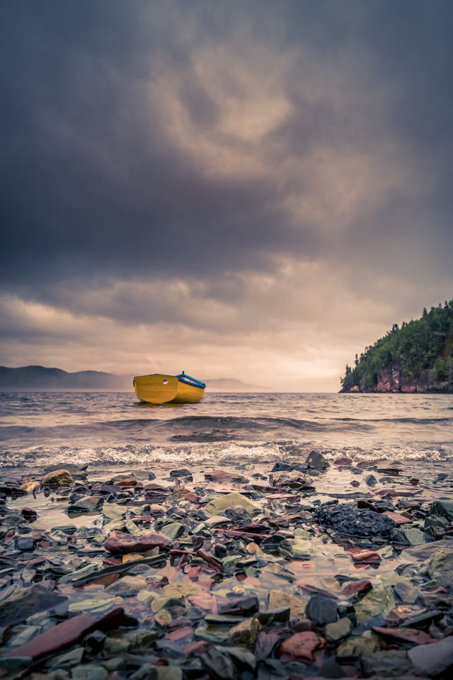 The Yellow Punt