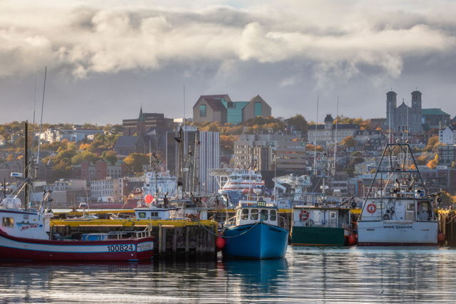 St. John's Downtown Harbour and City