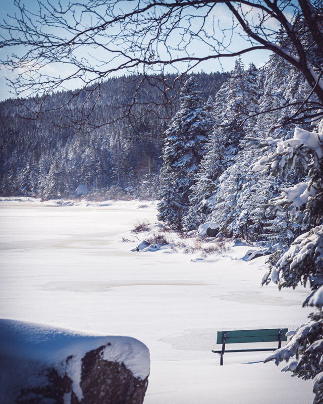 Beaver Pond
