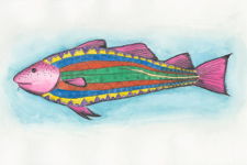 The Patterned Cod