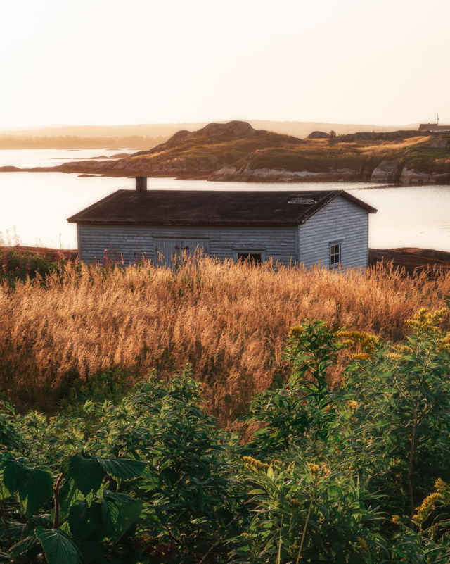 Golden Light Pool's Island