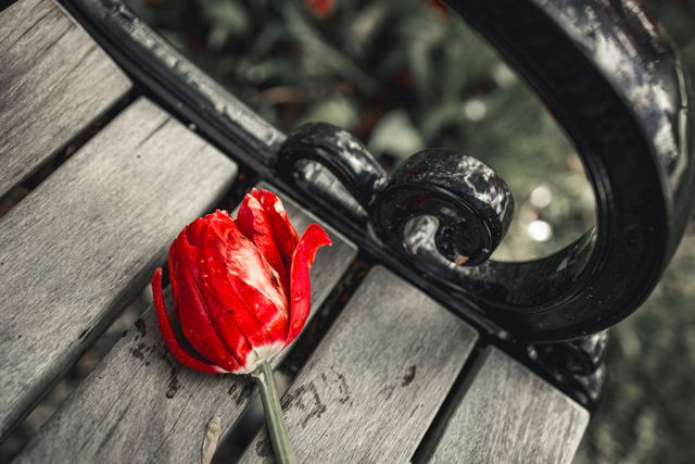 The Absent Lover