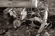 CAST YOUR ANCHOR - FERRYLAND