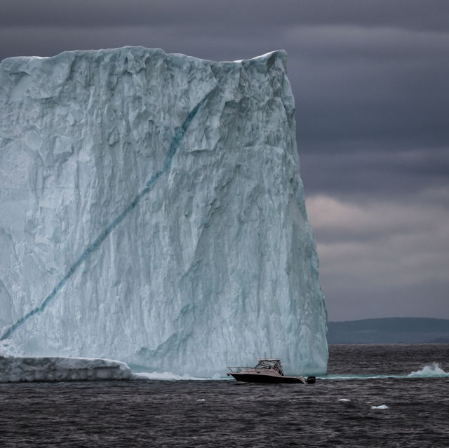 Bacon Cove Iceberg s