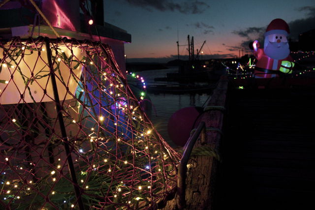 Port De Grave 4