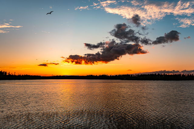 Golden hour reflected in still waters.
