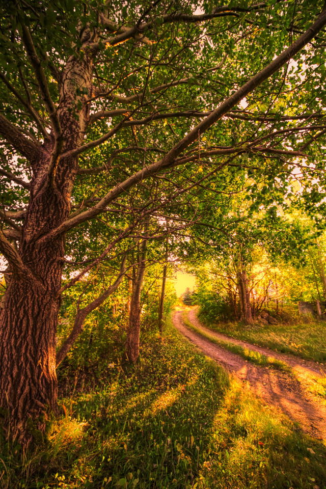 Where does the road lead