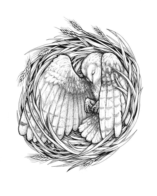Nesters - Owl