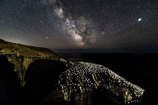 Cape St. Mary's Milky Way