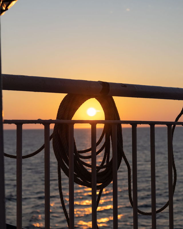Ferry Mornings