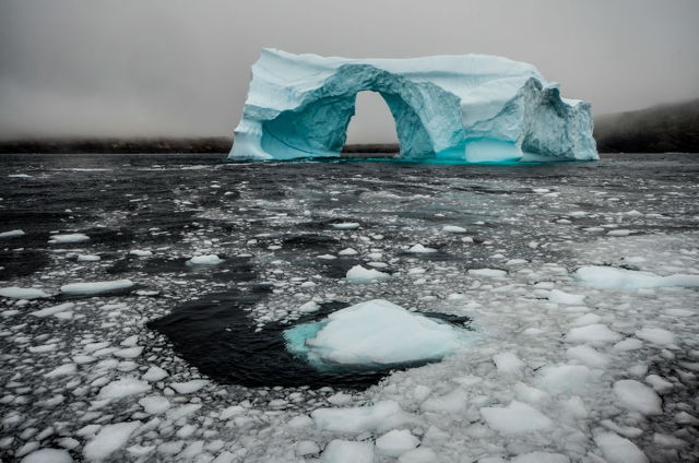 Cape Spear Iceberg, NL.