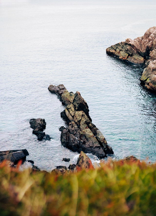 Along the Coastline