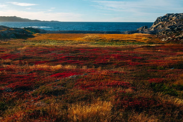 Rainbow Field