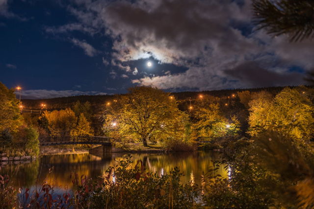 1 Bowring Park Moon