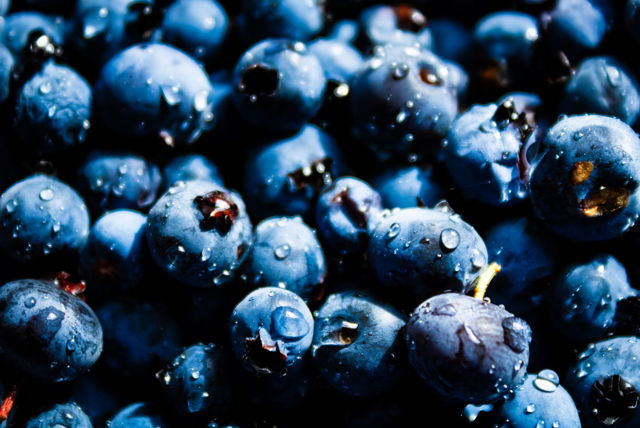 Freshly Picked Blueberries