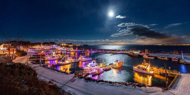 Lights of Port De Grave - Limited Edition