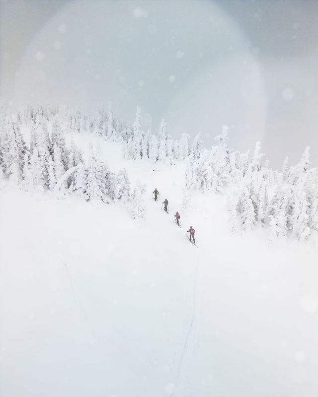 Tour Group