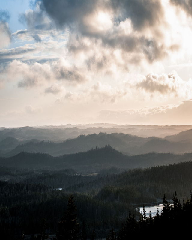 Pine Clad Hills