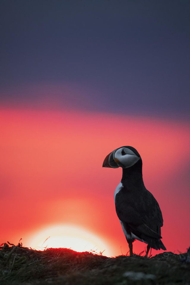 Rise With Nature