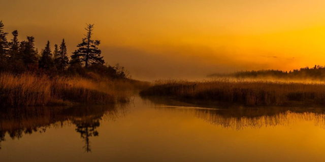 Early Morning Mist - Deer Lake