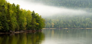 AUTUMN MORNING FOG - GOOSE ARM BROOK