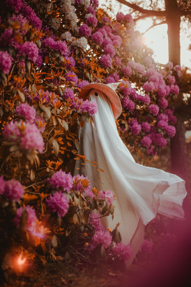 Rhodo Ghostie