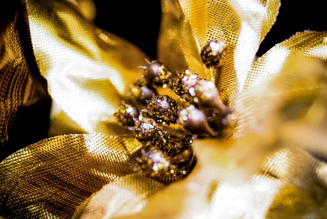 Dipped in Gold