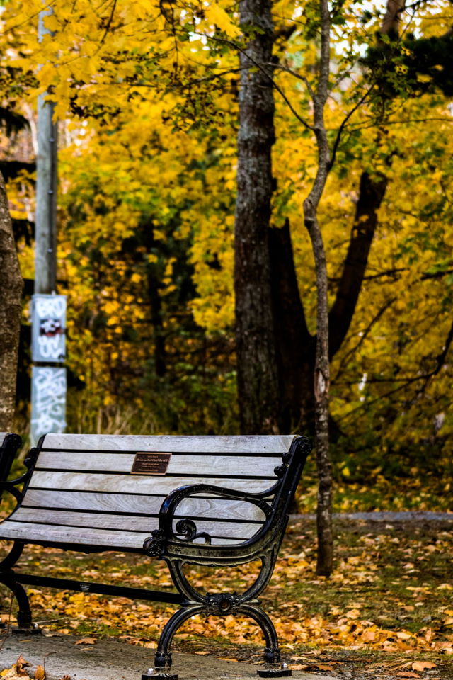 A Walk in the Park
