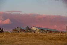 Outer Cove Sunset warming Farm Buildings
