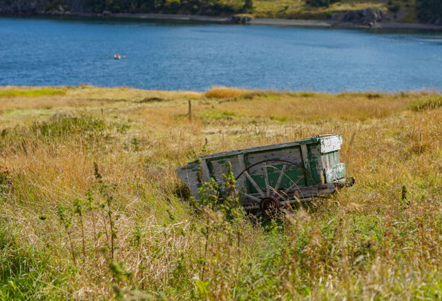 Field near Trinity, TB
