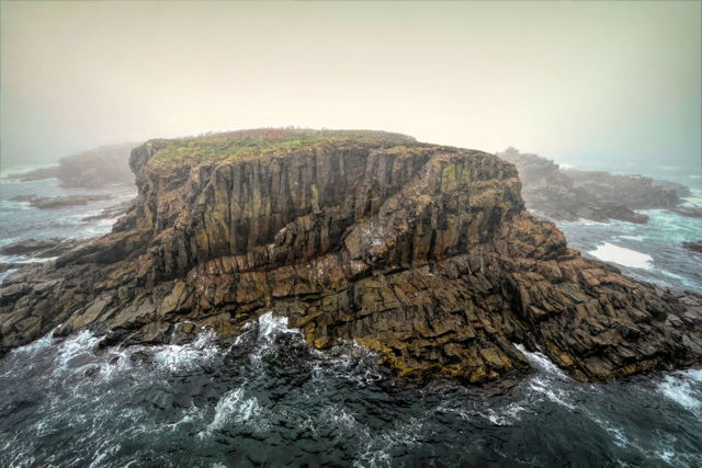 Bird Island, Elliston, NL