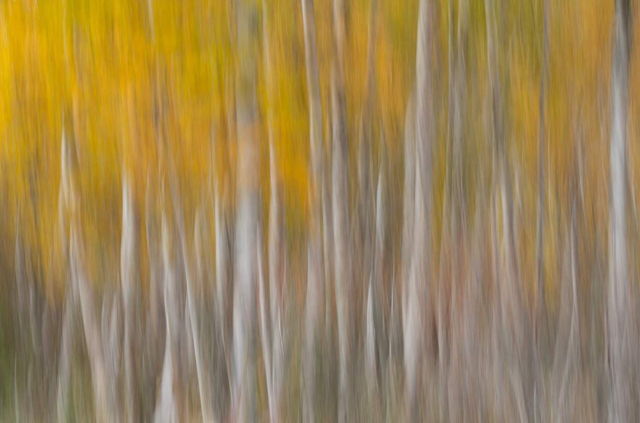 Blur 1