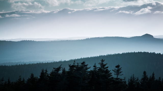 Layers