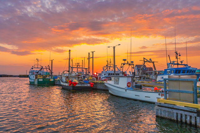 Sunset In Bonavista Harbour