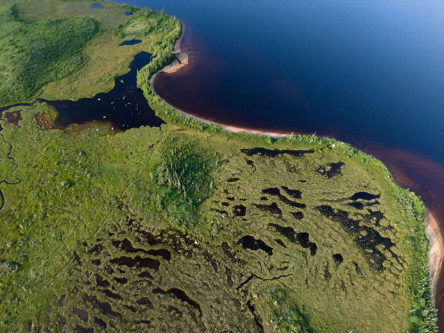 string bog, Little Sandy Pond