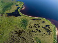 string bog, Little Sandy Pond
