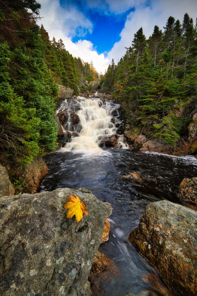 Bauline River
