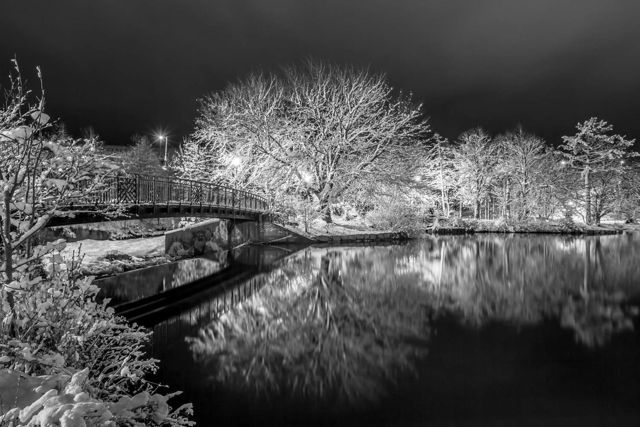 Bowring Park - St. John's