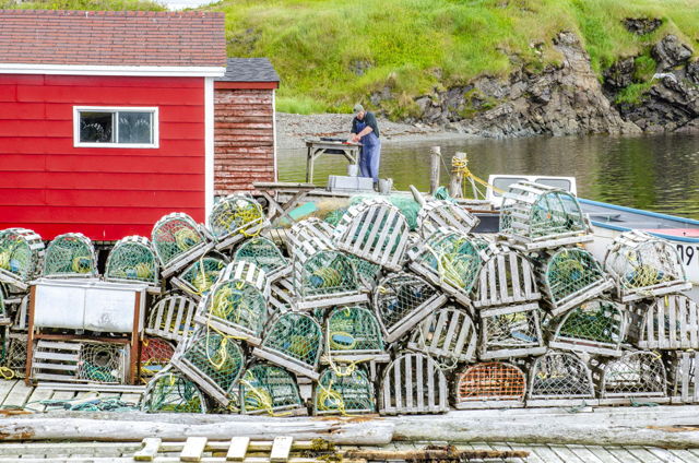 Filleting Fish, Champney's West