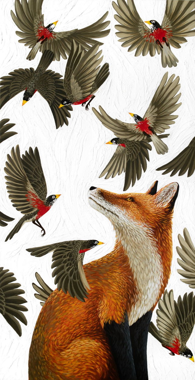 Feathers and Fur III