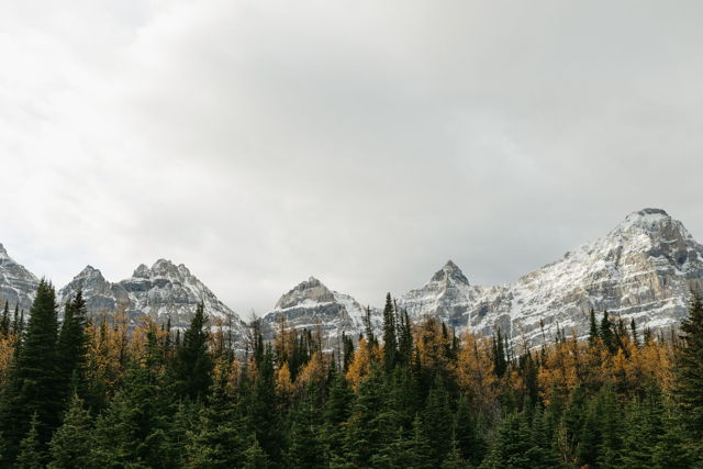 Larch Valley