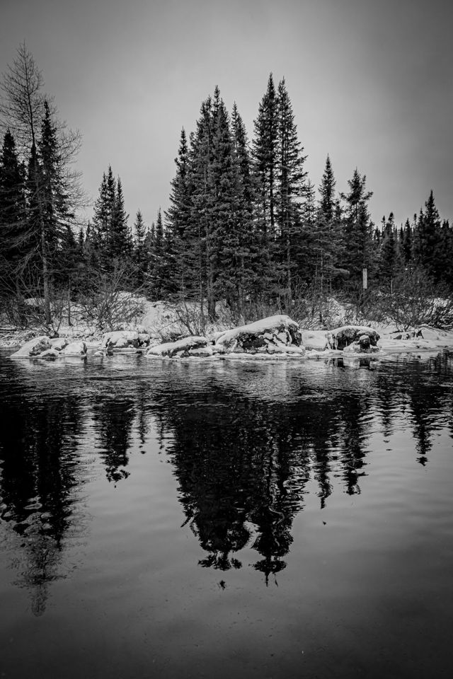 Black and White Reflections
