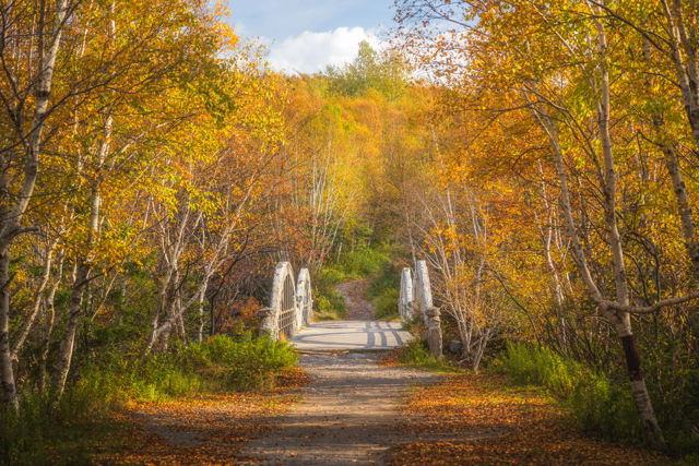 Swift Current Autumn Bridge
