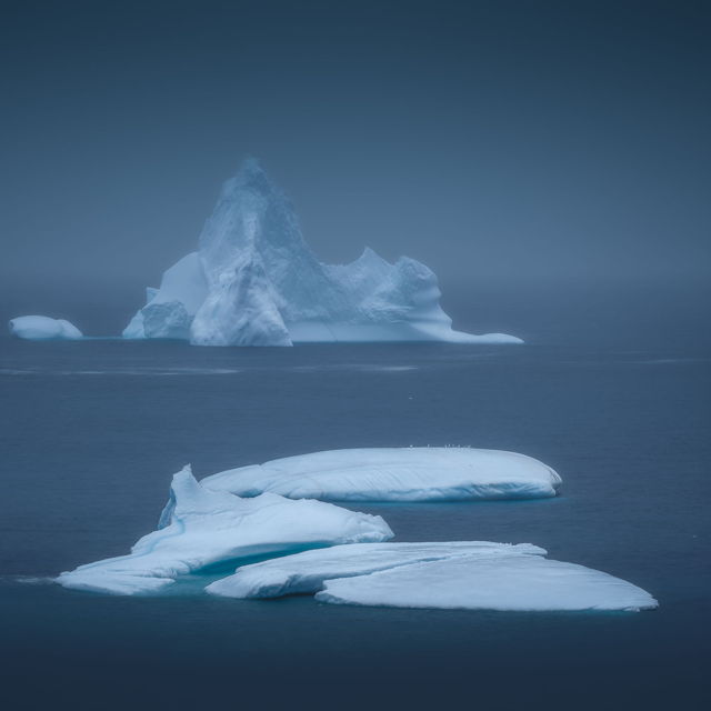 Iceberg in the Mist