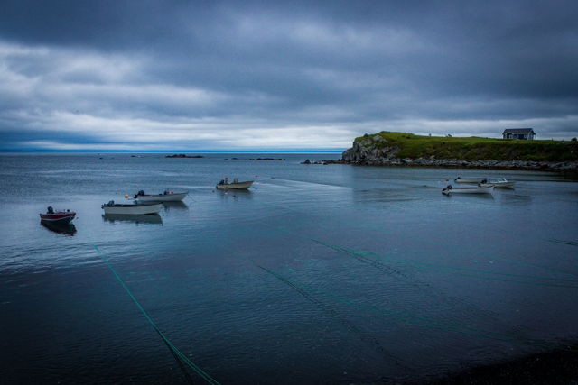 Freshwater Fleet