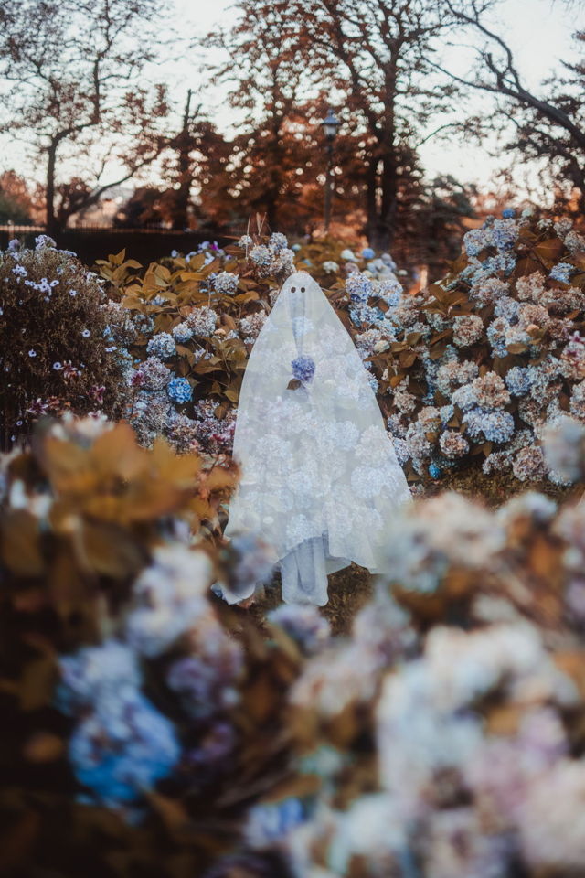 Haunted Garden
