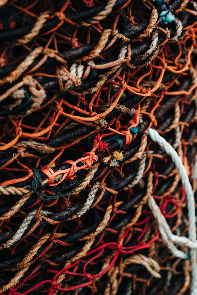 KNOTS
