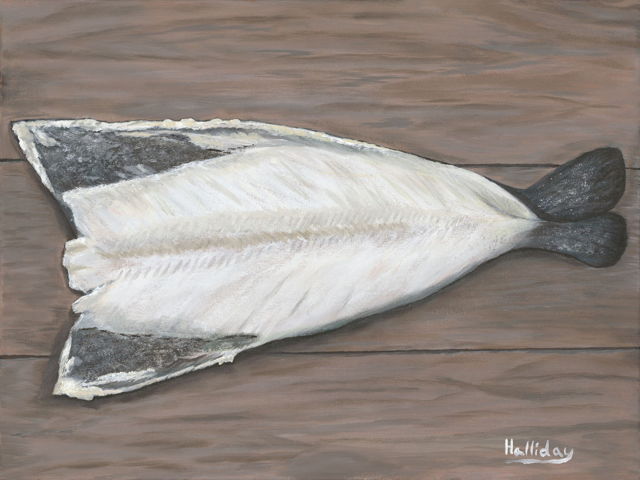 Bacalao